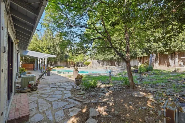 a view of a yard with plants and a large tree
