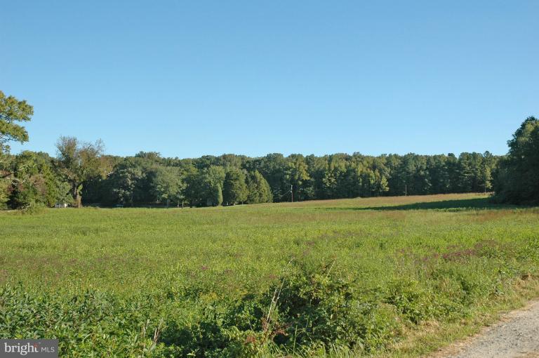 South Shore Road Elkton, MD 21921 - Photo 5 of 7 View