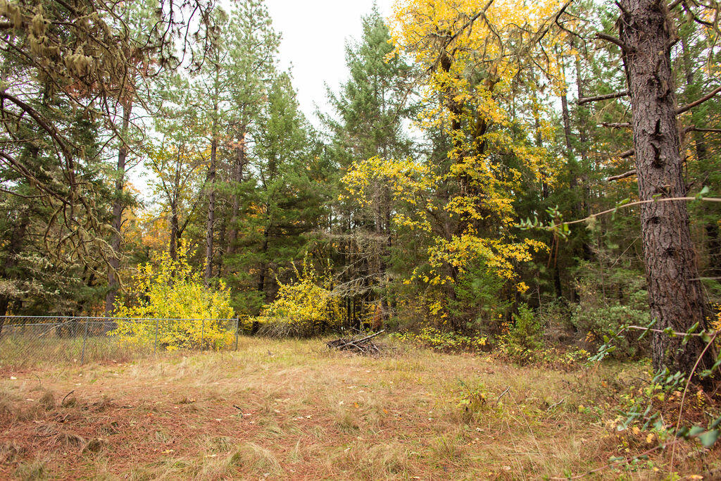 333 Queen Of Bronze Road Cave Junction, OR 97523 - Photo 17 of 22 BrielleLeayDesigns-17