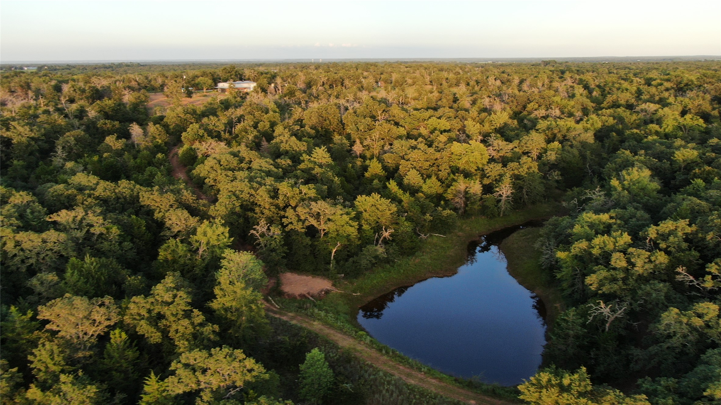 1004 22 Hills Road Gause, TX 77857 - Photo 20 of 37 A tranquil pond nestles within a verdant forest, offering serene natural beauty.
