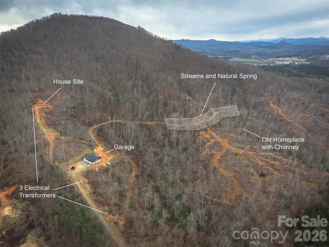 a view of a dry yard