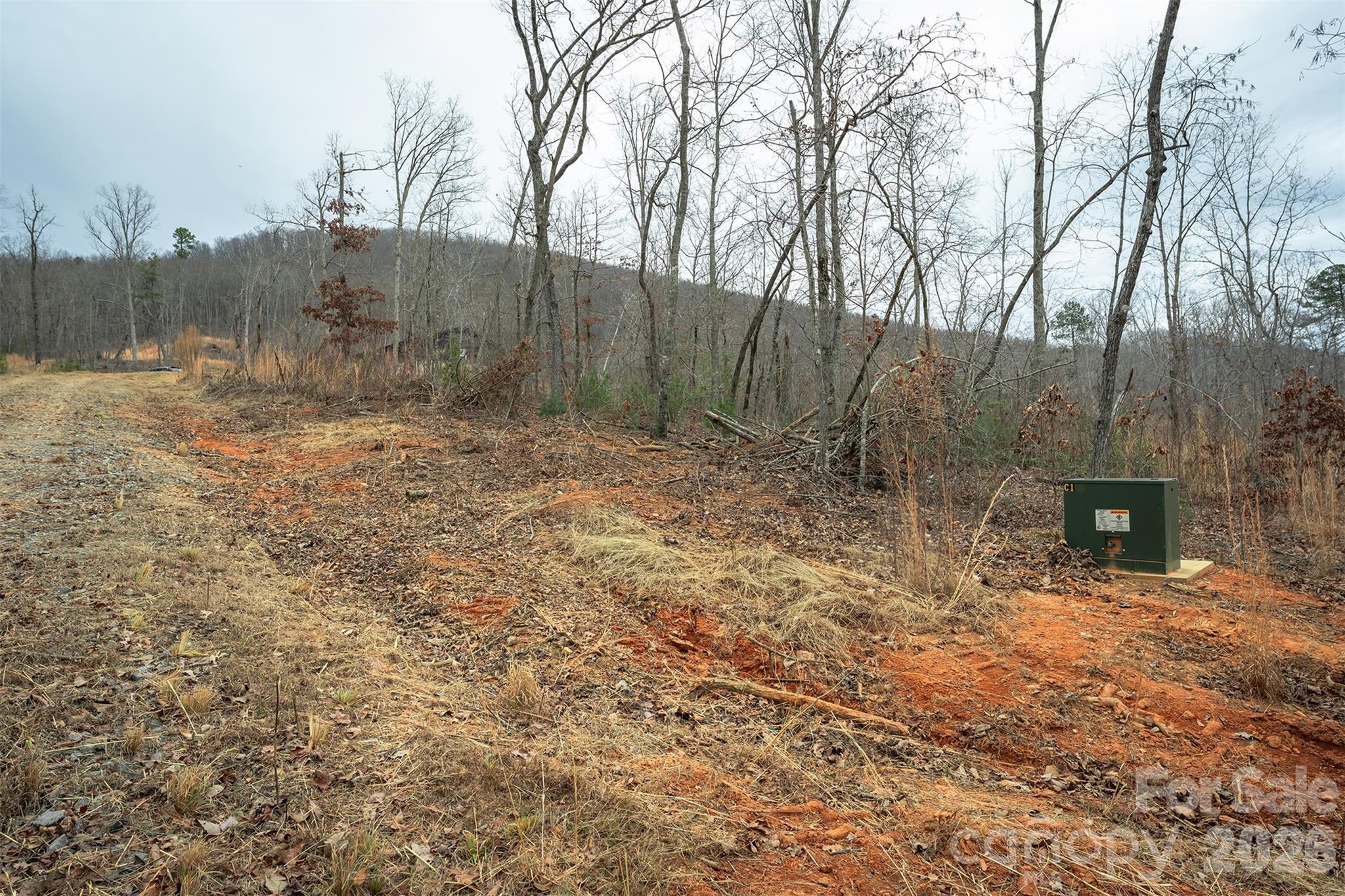 6800 Gold Mine Road Morganton, NC 28655 - Photo 19 of 30 a view of a backyard of the house