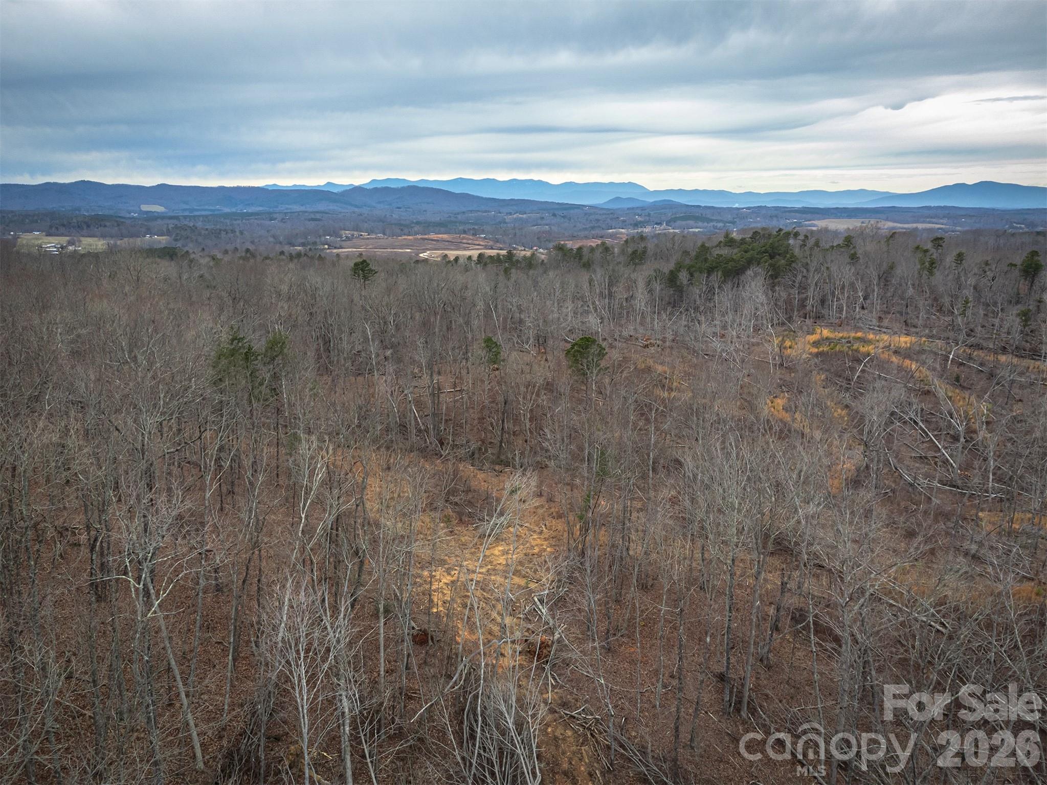 6800 Gold Mine Road Morganton, NC 28655 - Photo 22 of 30 a view of lake with mountain