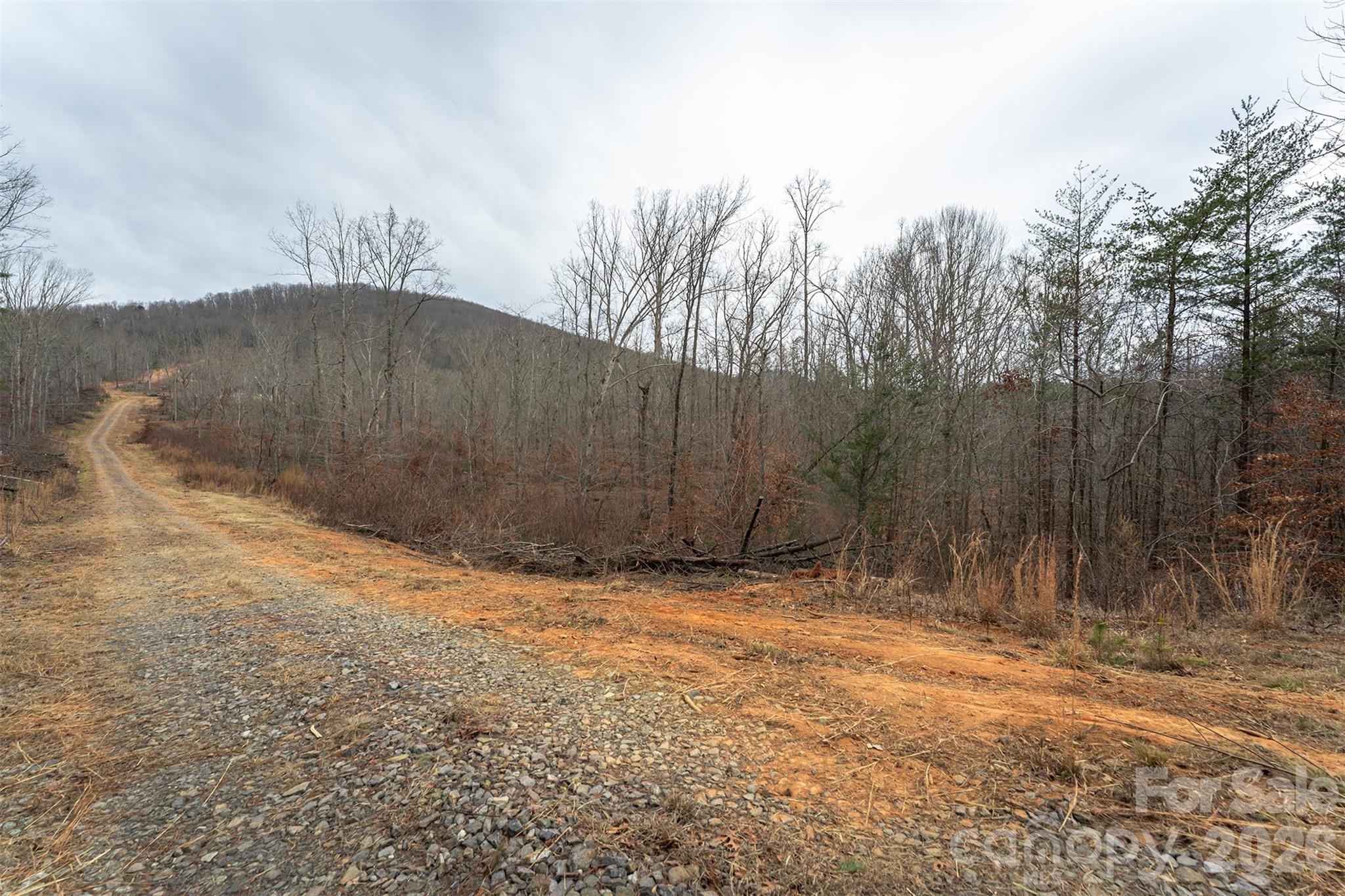 6800 Gold Mine Road Morganton, NC 28655 - Photo 7 of 30 a view of a backyard of the house