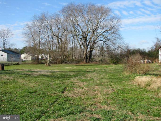 5030 Bethlehem Road Preston, MD 21655 - Photo 5 of 23 a view of a field with trees