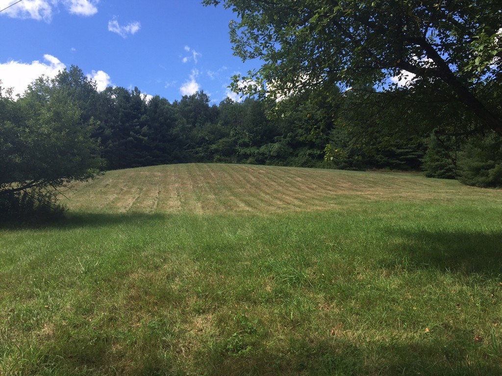 0 Paige Road Leyden, MA 01337 - Photo 3 of 10 a view of a field with an trees