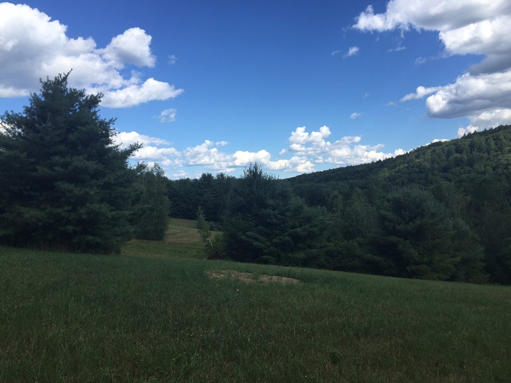 0 Paige Road Leyden, MA 01337 - Photo 6 of 10 a view of a big yard with a house in the background