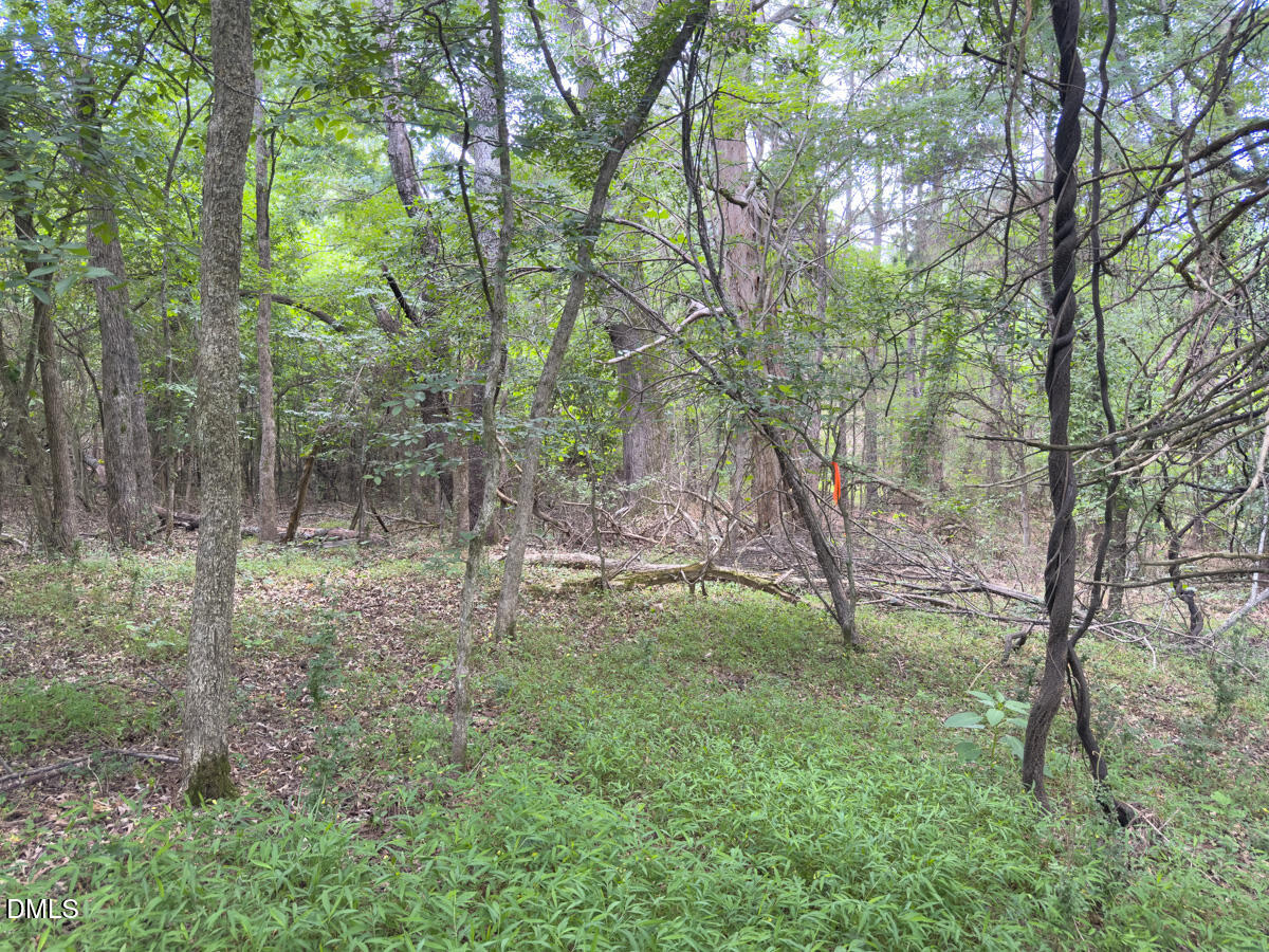 0 Mt Pleasant Church Road Manson, NC 27553 - Photo 40 of 43