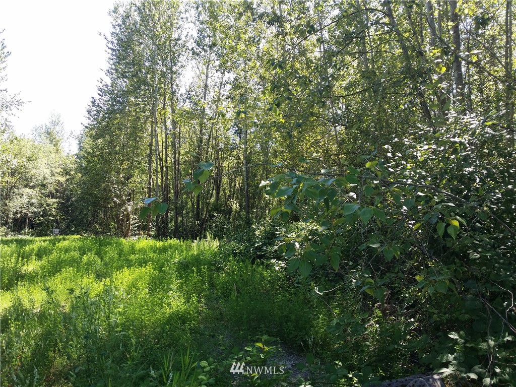 1129 East Axton Road Bellingham, WA 98226 - Photo 2 of 9