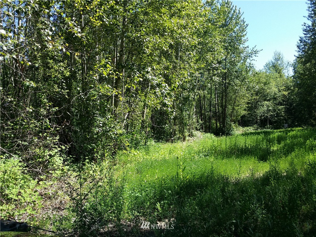 1129 East Axton Road Bellingham, WA 98226 - Photo 3 of 9