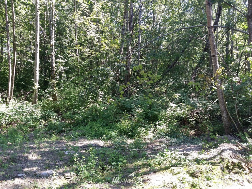 1129 East Axton Road Bellingham, WA 98226 - Photo 4 of 9