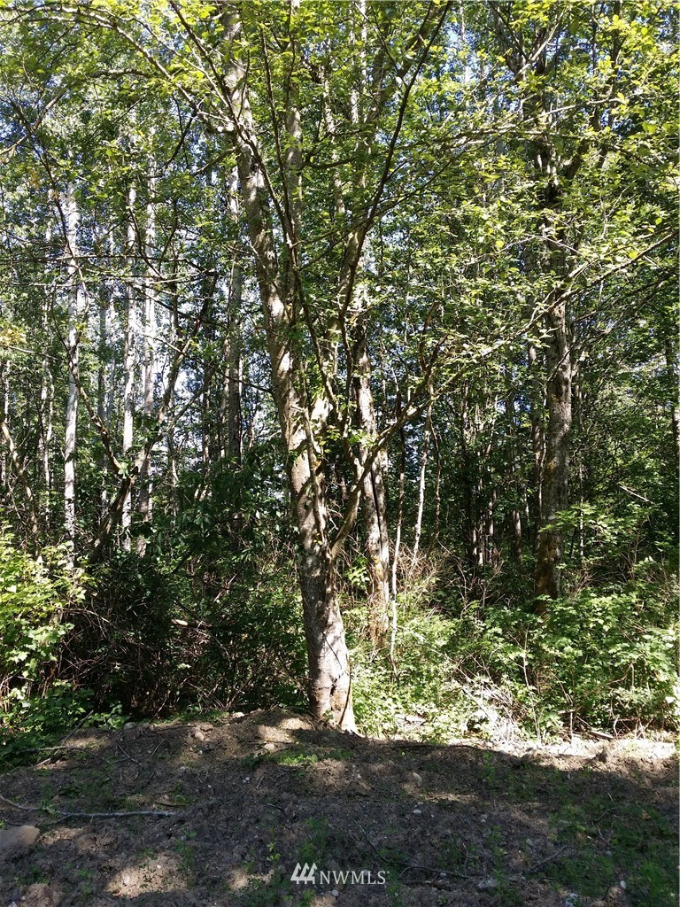 1129 East Axton Road Bellingham, WA 98226 - Photo 5 of 9