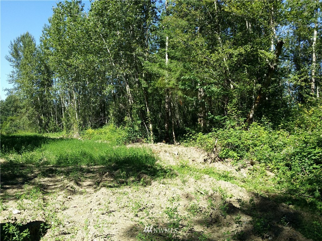 1129 East Axton Road Bellingham, WA 98226 - Photo 6 of 9