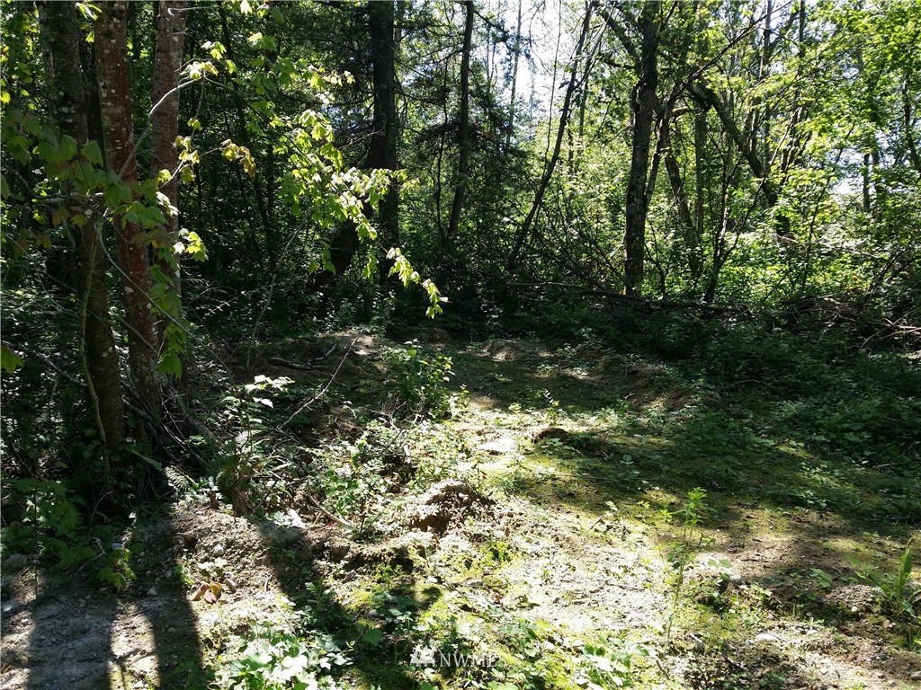 1129 East Axton Road Bellingham, WA 98226 - Photo 7 of 9
