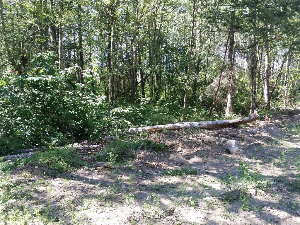 1129 East Axton Road Bellingham, WA 98226 - Photo 9 of 9