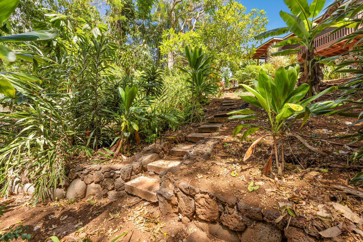 3942 Waha Road Kalaheo, HI 96741 - Photo 24 of 30 Gallery Image 24