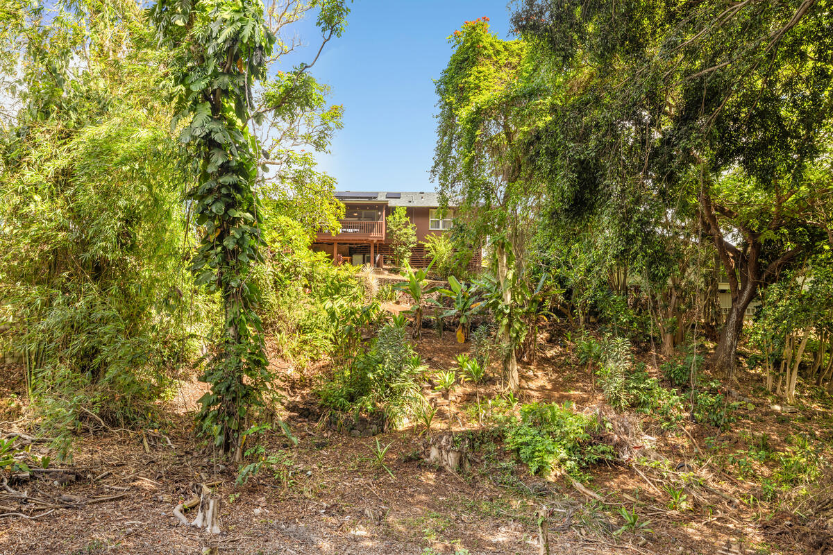 3942 Waha Road Kalaheo, HI 96741 - Photo 25 of 30 Gallery Image 25