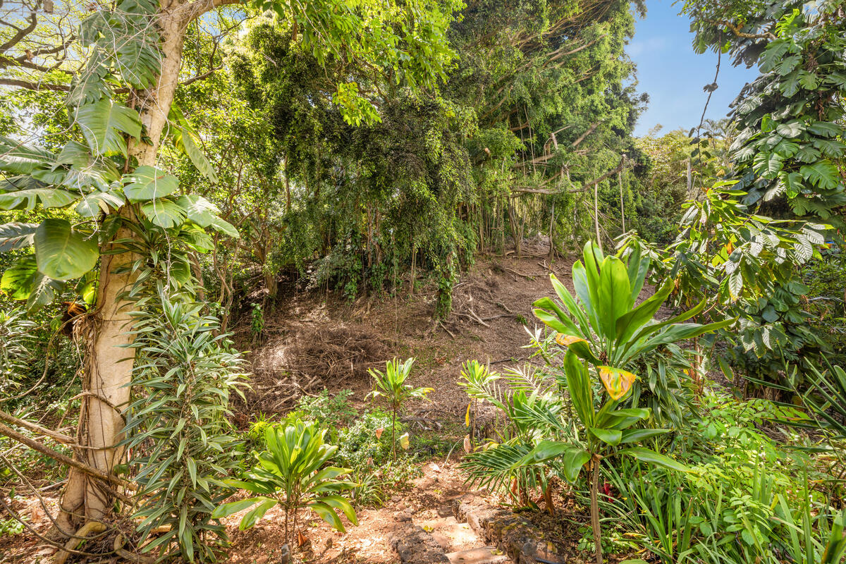 3942 Waha Road Kalaheo, HI 96741 - Photo 26 of 30 Gallery Image 26