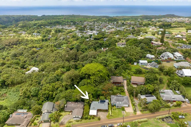 an aerial view of residential houses with outdoor space and trees