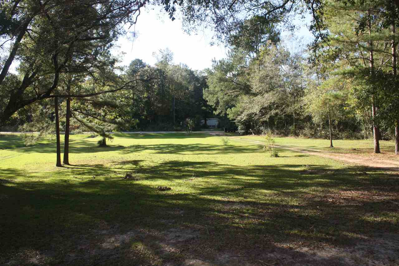 2987 Cato Road Braxton, MS 39044 - Photo 3 of 23 Photo 3