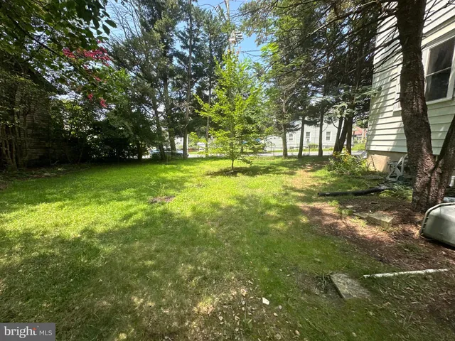 a view of yard with trees