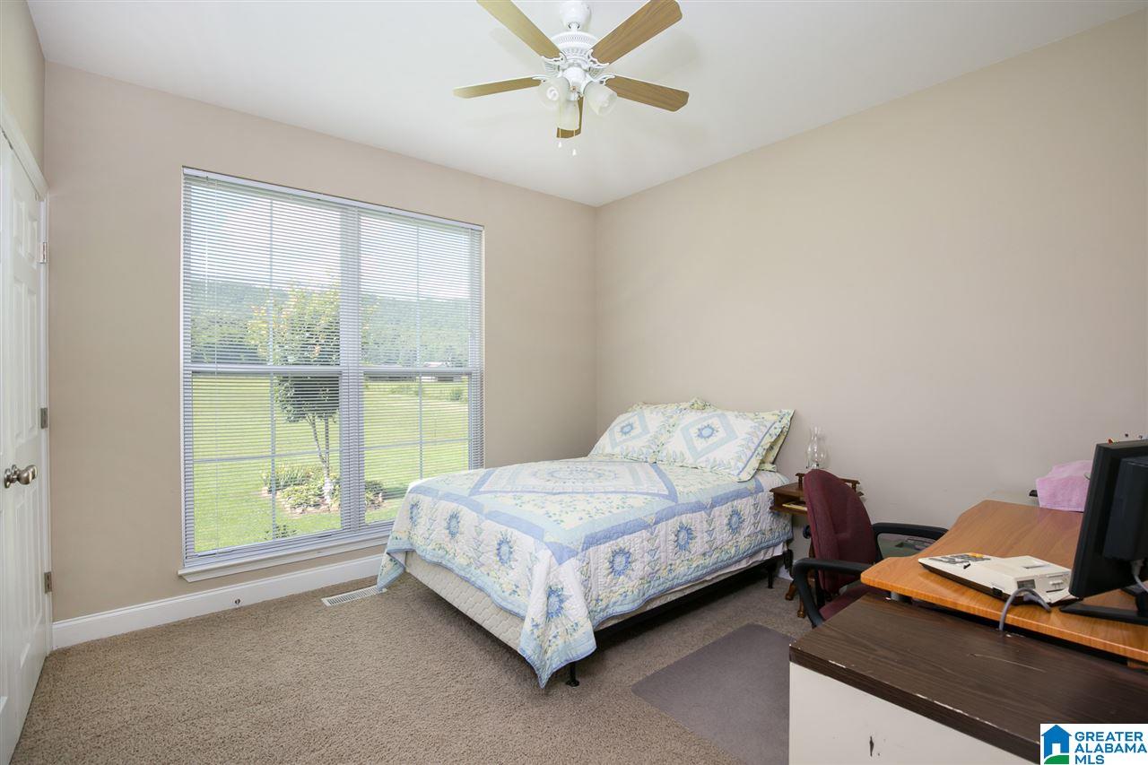 1665 Canoe Creek Road Springville, AL 35146 - Photo 14 of 24