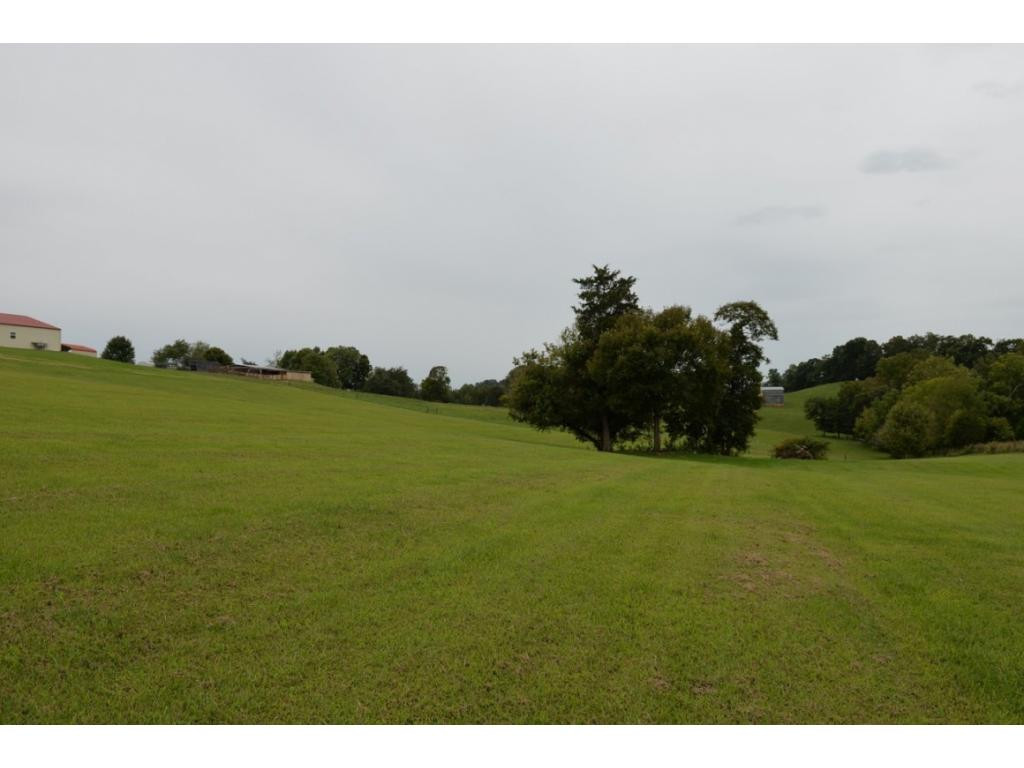 670 Dunlap Road Kingsport, TN 37663 - Photo 13 of 36 Beautiful Views