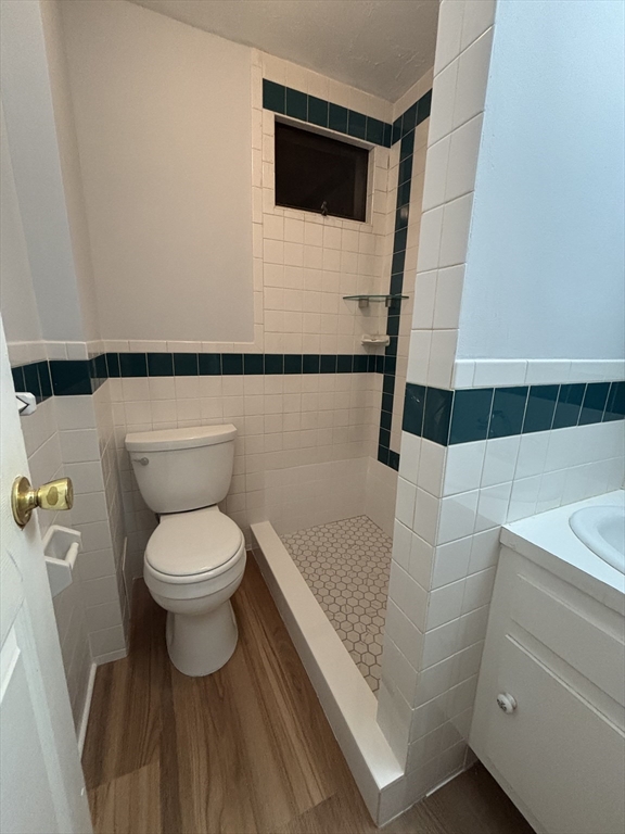 47 Middle Street, Unit 2 Boston, MA 02127 - Photo 8 of 13 a bathroom with a sink and a toilet