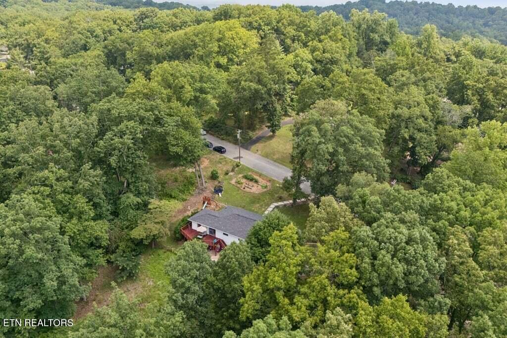 103 Morgan Road Oak Ridge, TN 37830 - Photo 49 of 54 49-103 Morgan Rd - 049