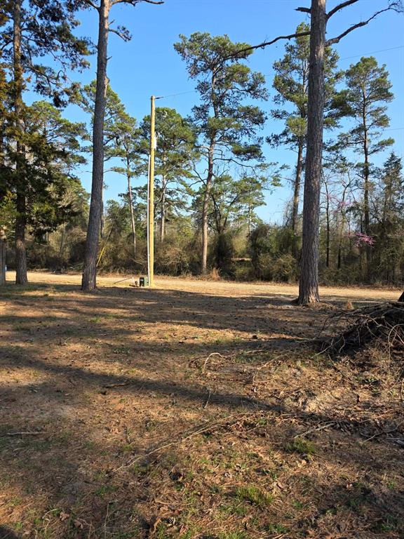 Lot 36-37 King Charles Road Scroggins, TX 75480 - Photo 5 of 14 a backyard of a house with lots of green space