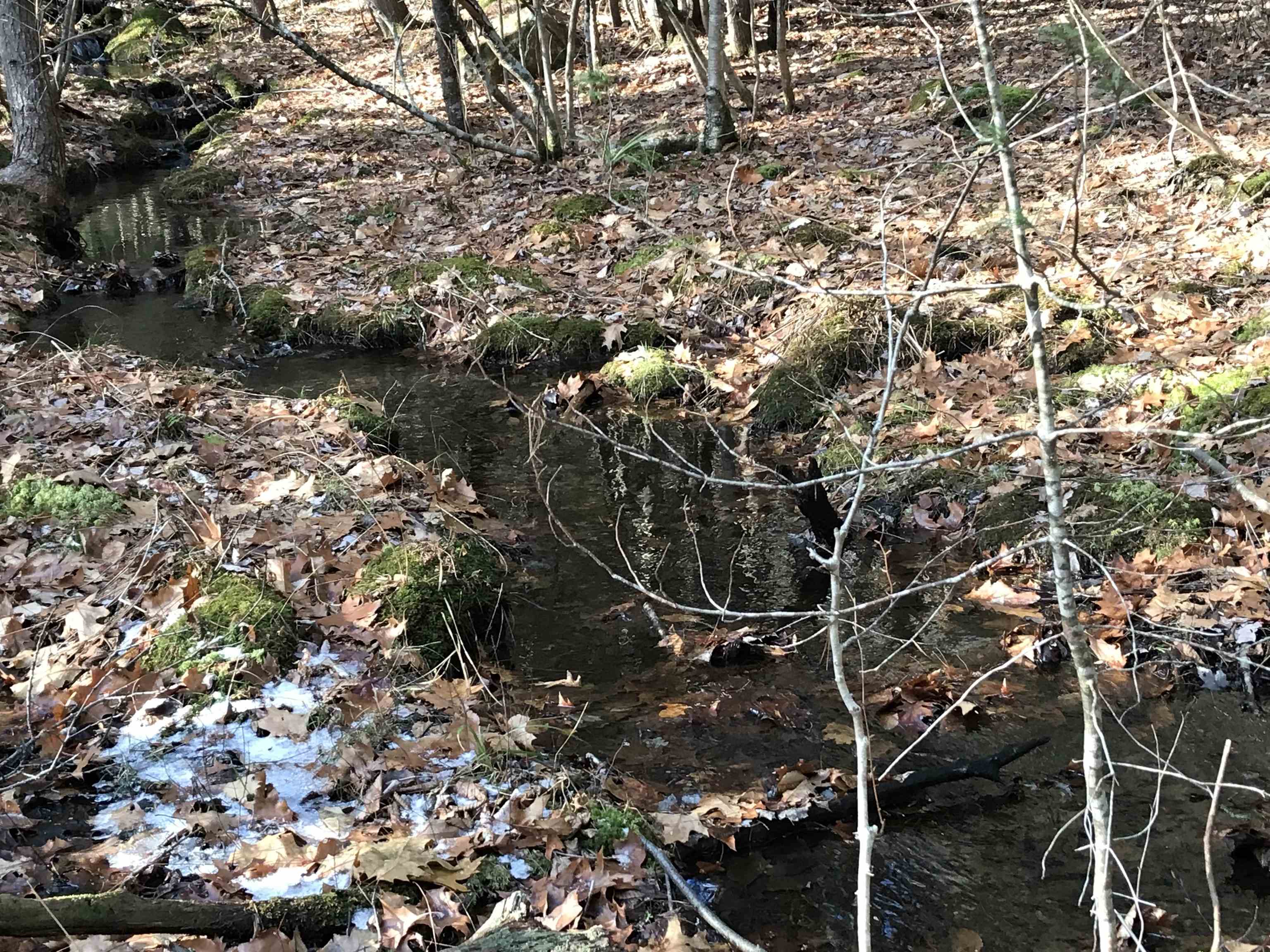 R34-5 Colby Road, Unit R345 Meredith, NH 03253 - Photo 11 of 23