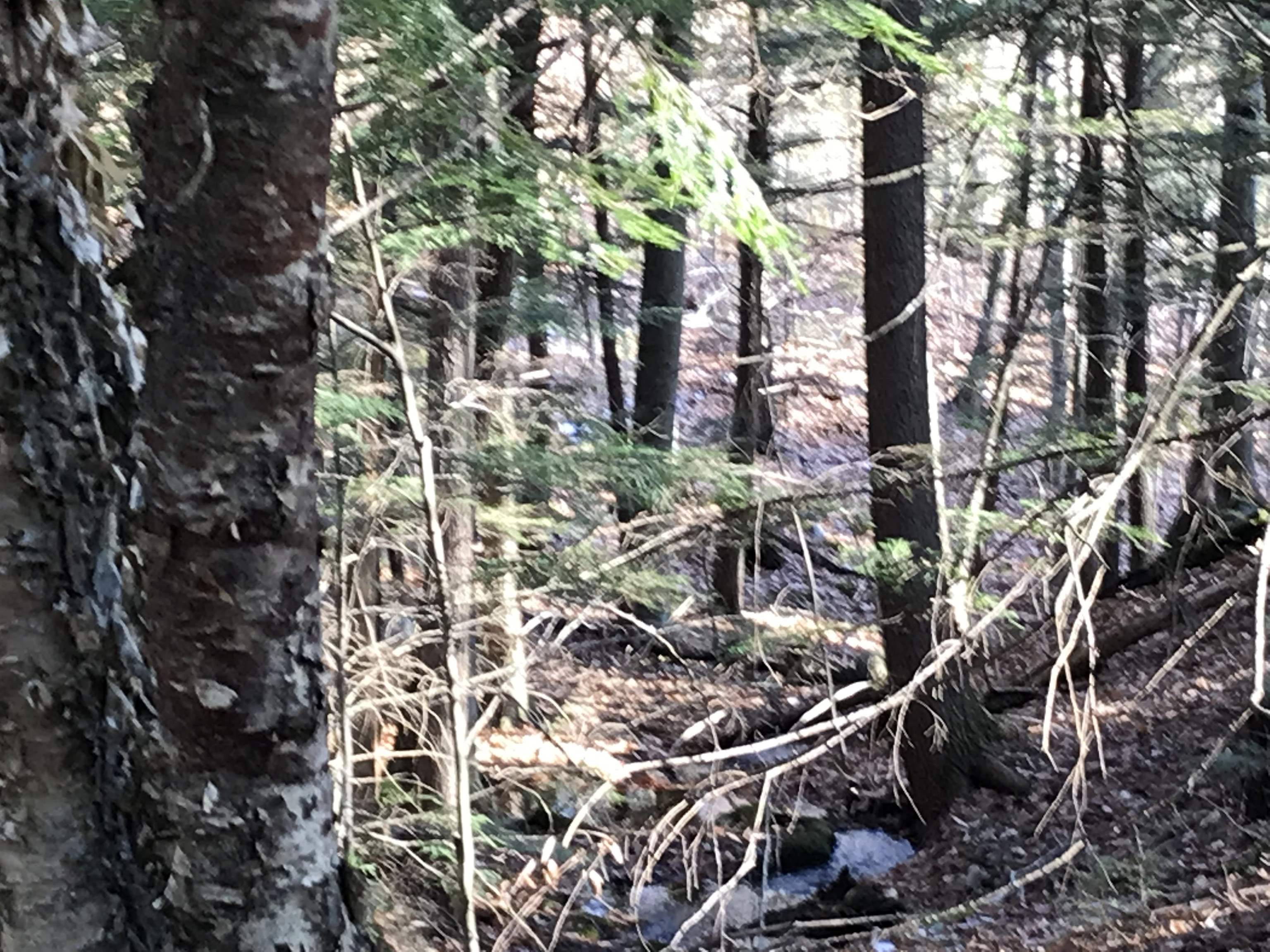 R34-5 Colby Road, Unit R345 Meredith, NH 03253 - Photo 13 of 23