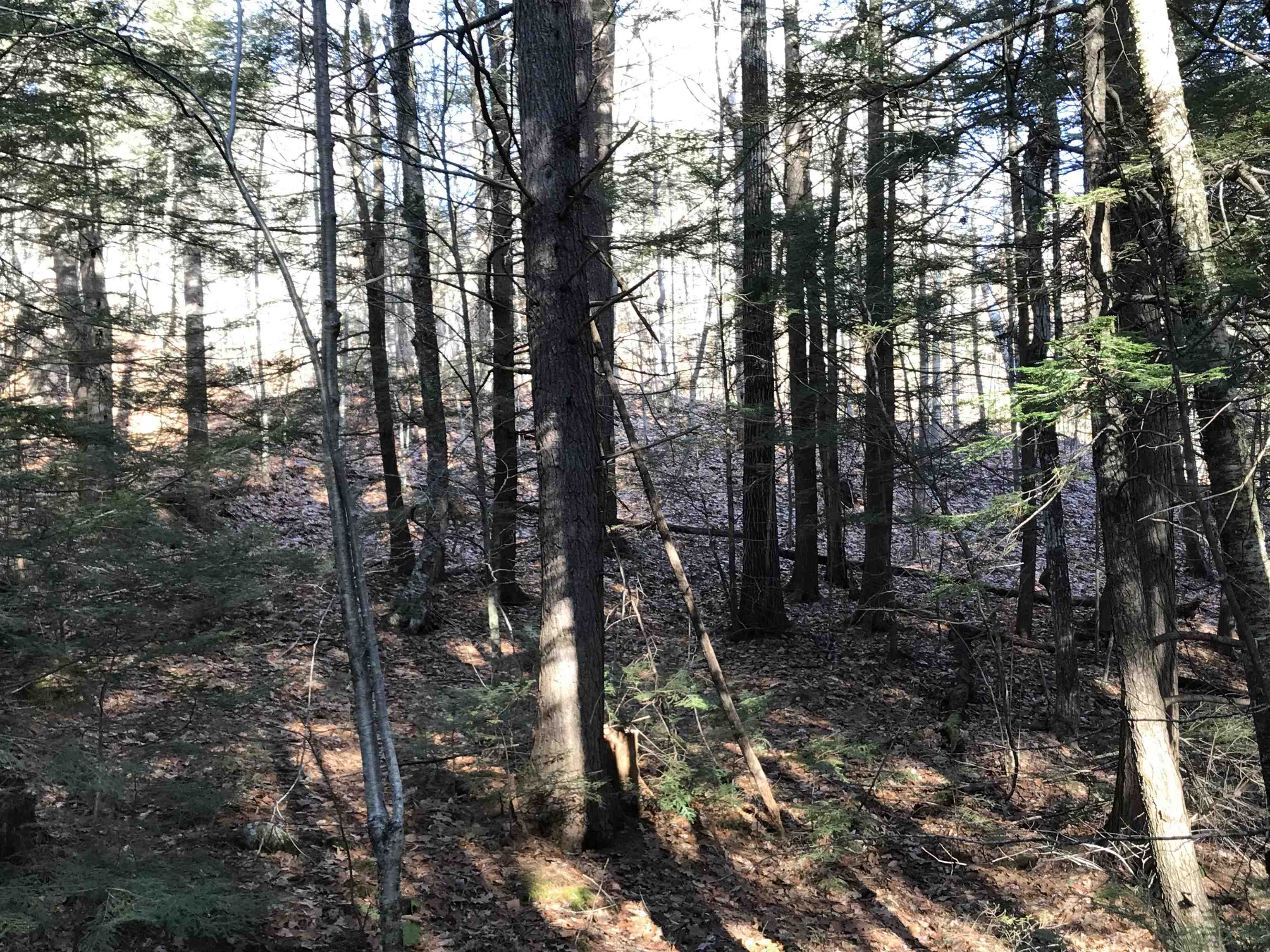 R34-5 Colby Road, Unit R345 Meredith, NH 03253 - Photo 14 of 23