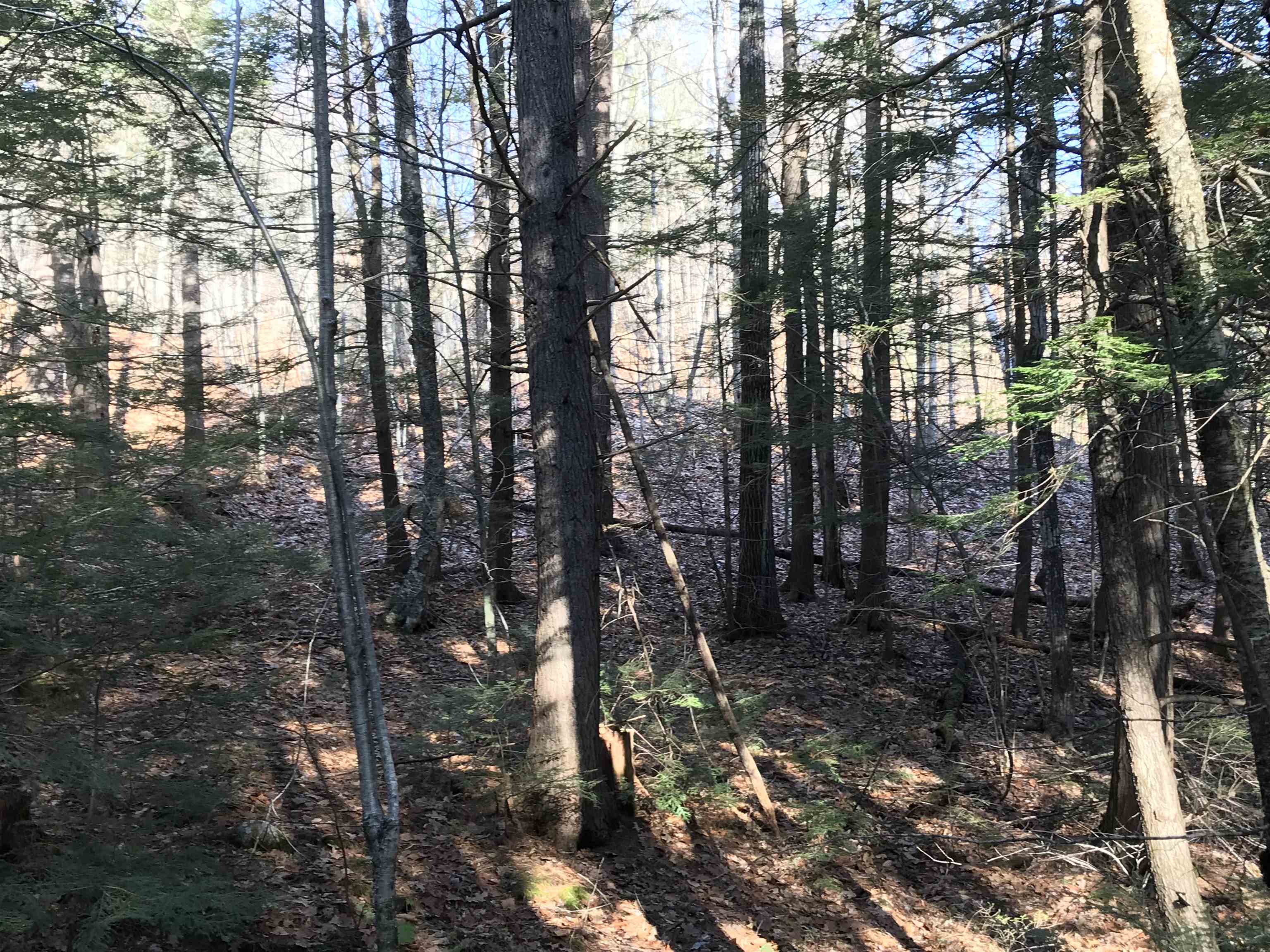 R34-5 Colby Road, Unit R345 Meredith, NH 03253 - Photo 15 of 23