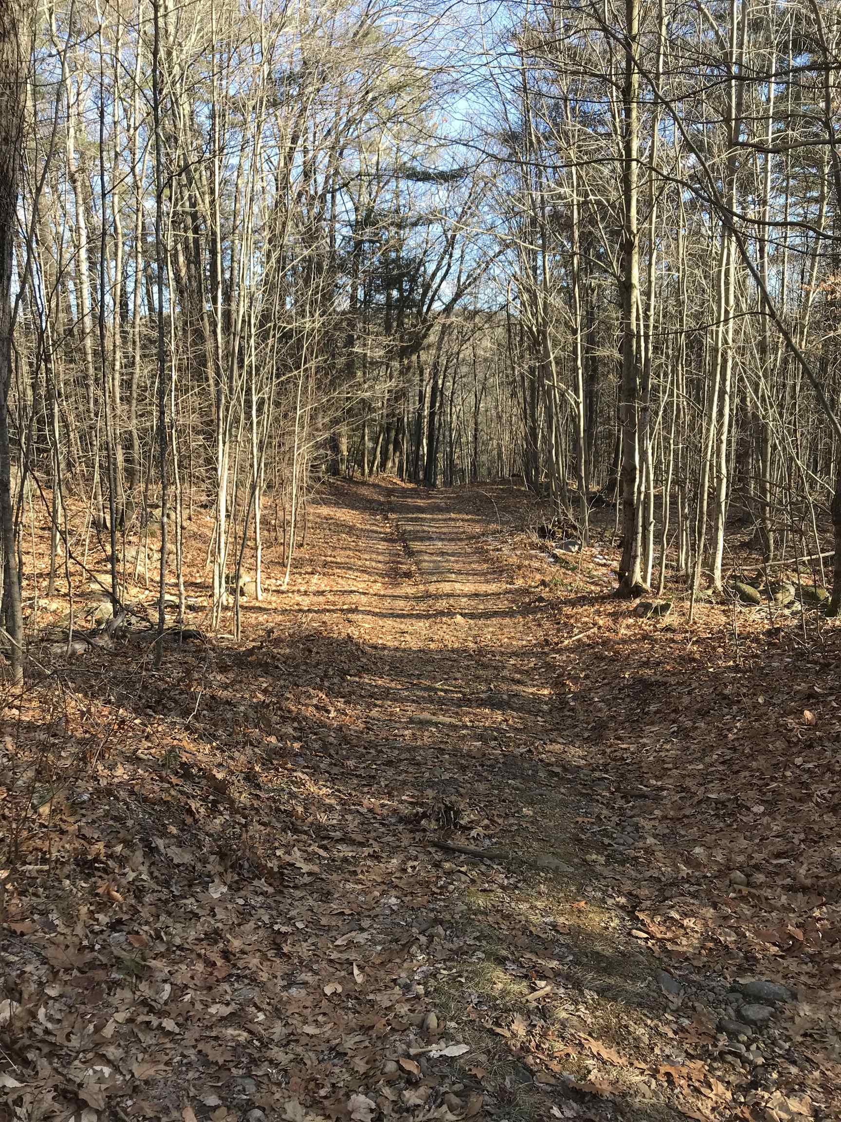 R34-5 Colby Road, Unit R345 Meredith, NH 03253 - Photo 20 of 23