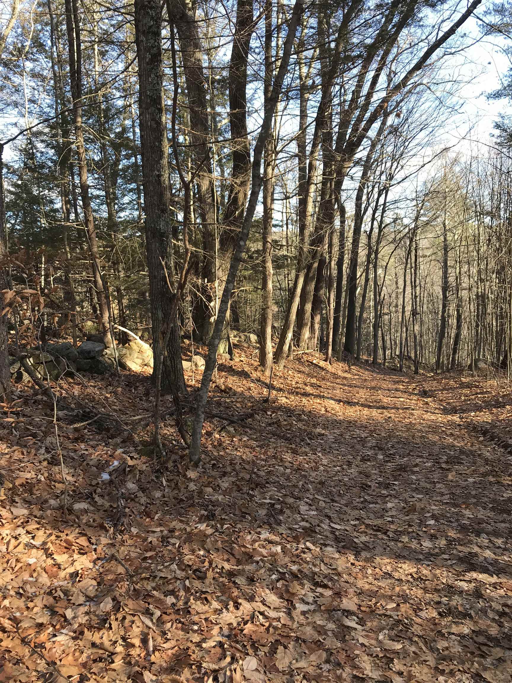 R34-5 Colby Road, Unit R345 Meredith, NH 03253 - Photo 22 of 23