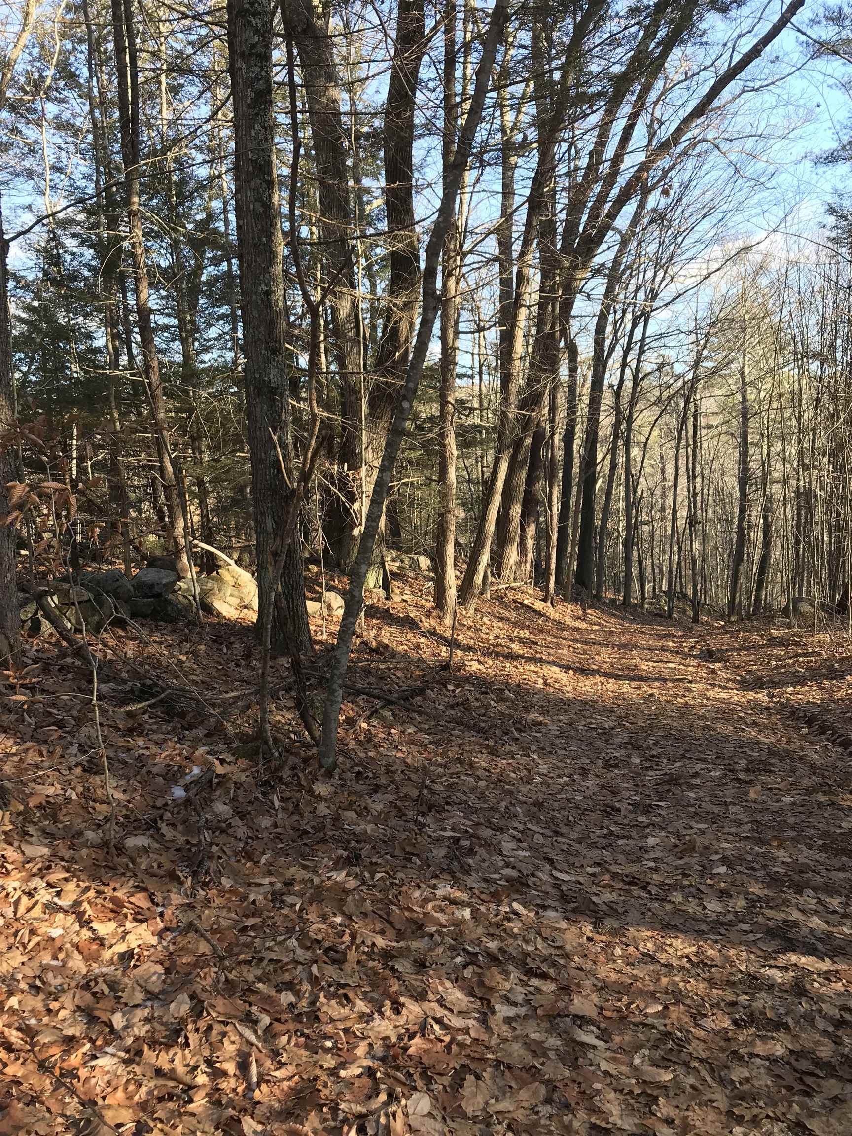 R34-5 Colby Road, Unit R345 Meredith, NH 03253 - Photo 23 of 23