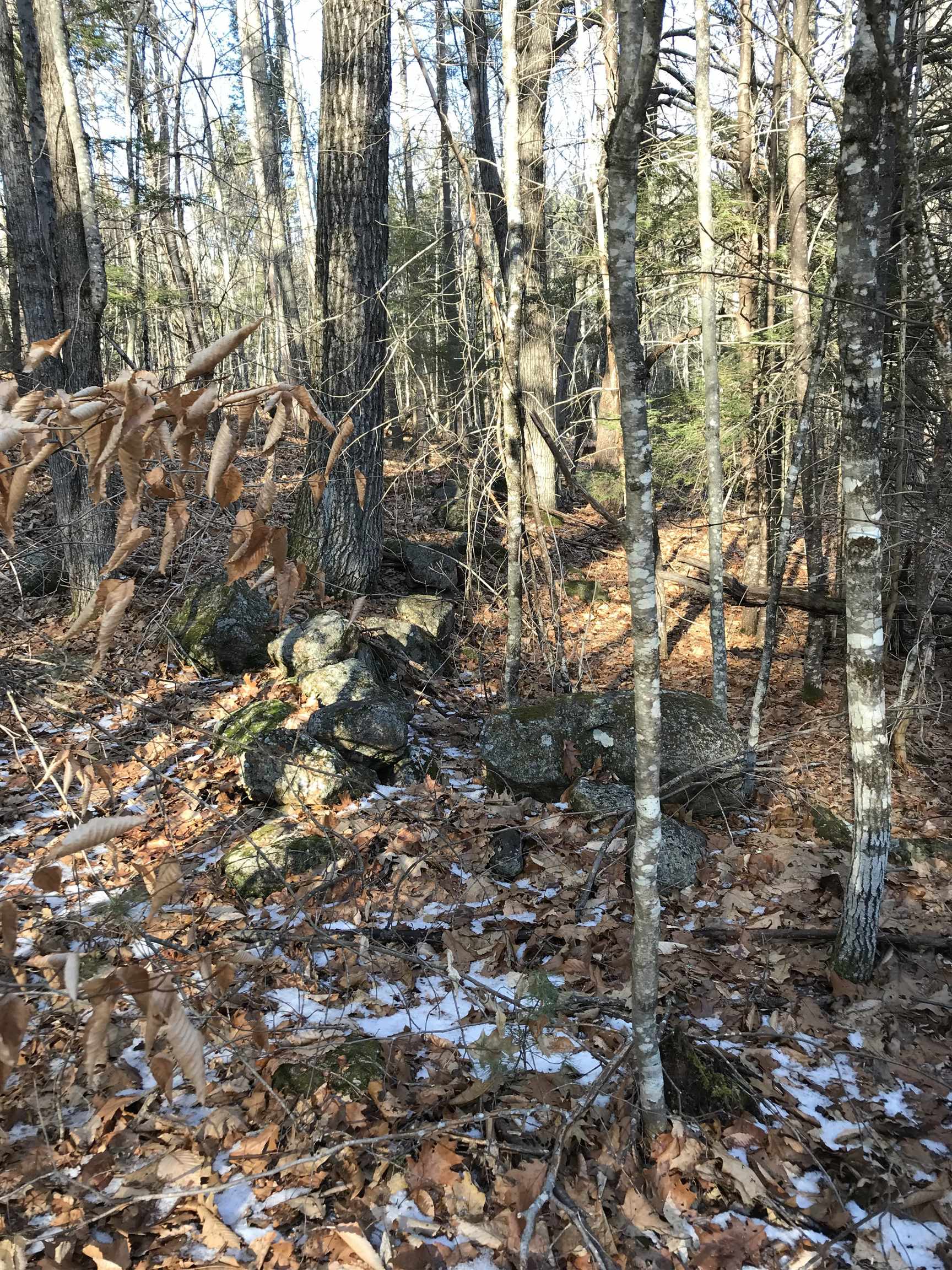 R34-5 Colby Road, Unit R345 Meredith, NH 03253 - Photo 5 of 23