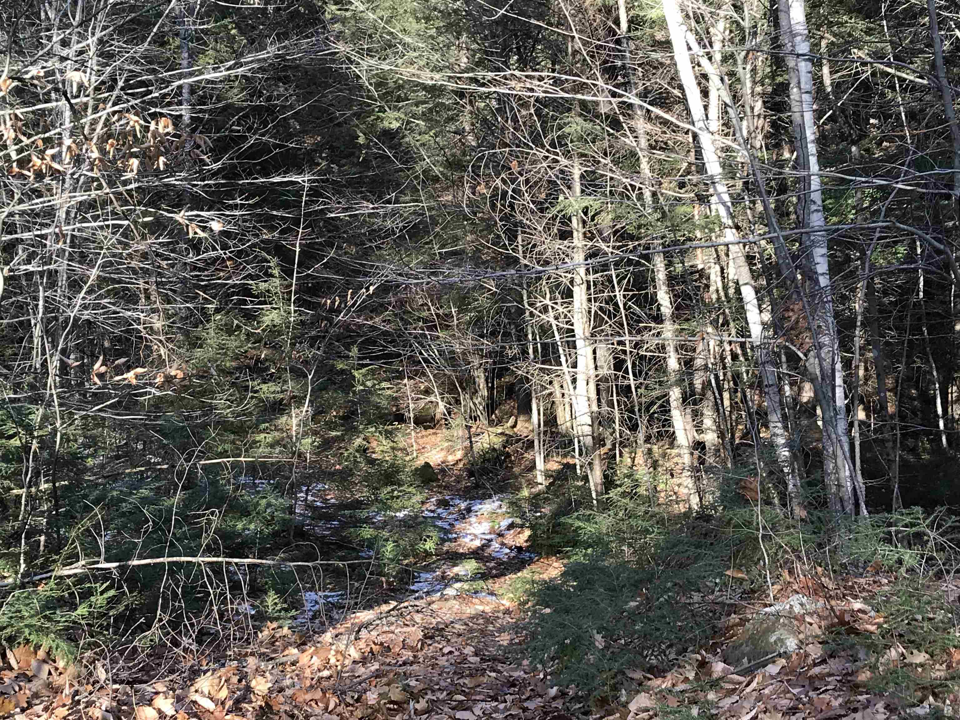 R34-5 Colby Road, Unit R345 Meredith, NH 03253 - Photo 10 of 23