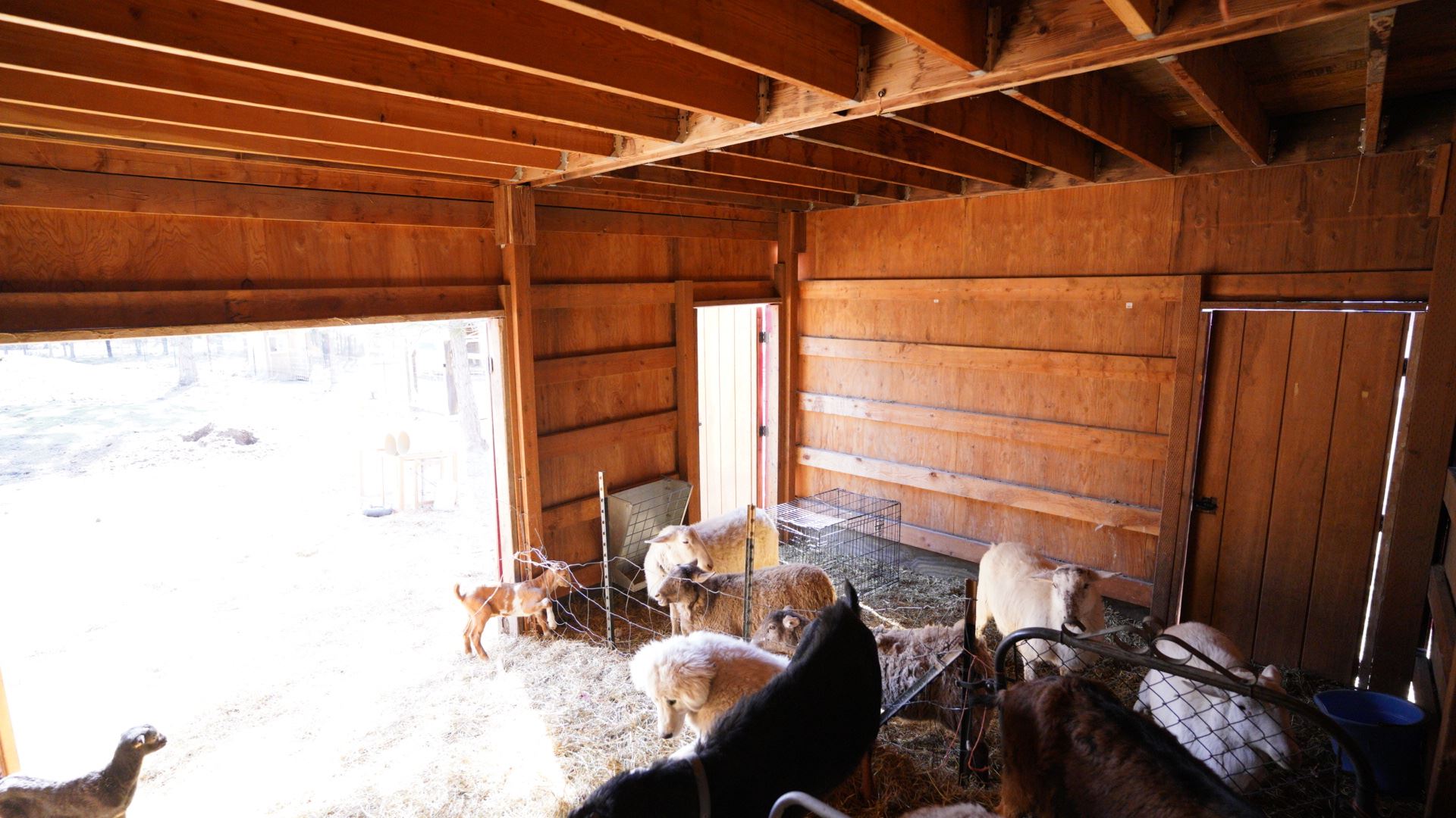 6101 East Owens Road Chattaroy, WA 99003 - Photo 44 of 50