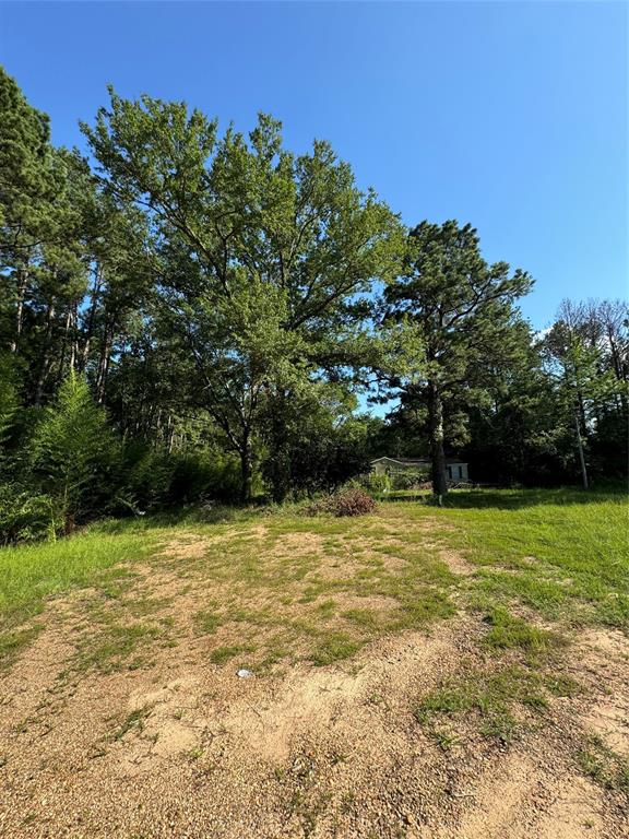 995 Carter Road Doyline, LA 71023 - Photo 1 of 1 Gallery Image 1