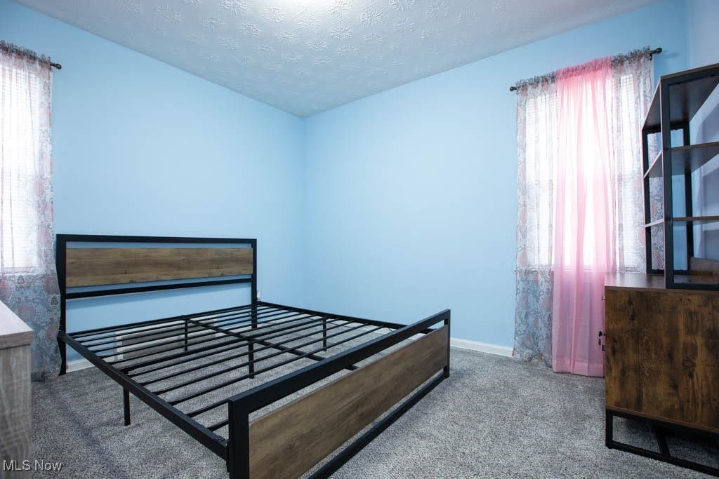 19310 Libby Road Maple Heights, OH 44137 - Photo 10 of 20 Carpeted bedroom featuring multiple windows and a textured ceiling