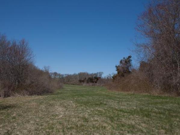 875 A Horseneck Road Westport, MA 02790 - Photo 12 of 30 a view of a field of grass and trees