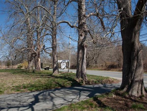 875 A Horseneck Road Westport, MA 02790 - Photo 6 of 30 a view of a yard with plants and trees