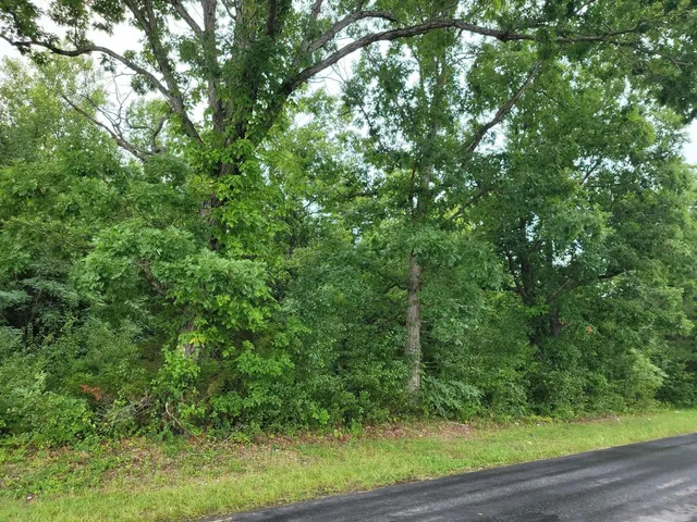 a view of a yard with a tree