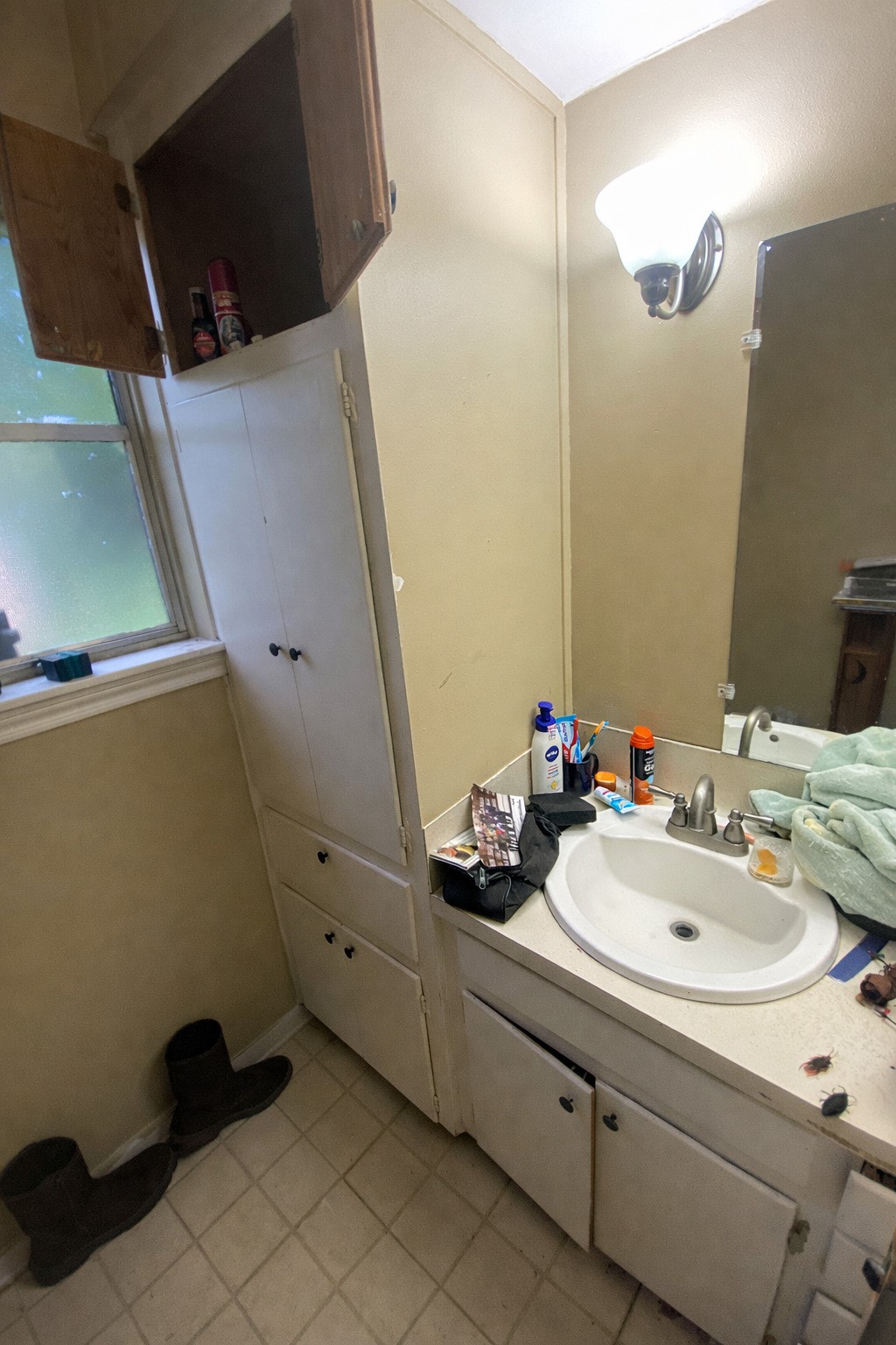 104 Oriole Lane Angleton, TX 77515 - Photo 9 of 14