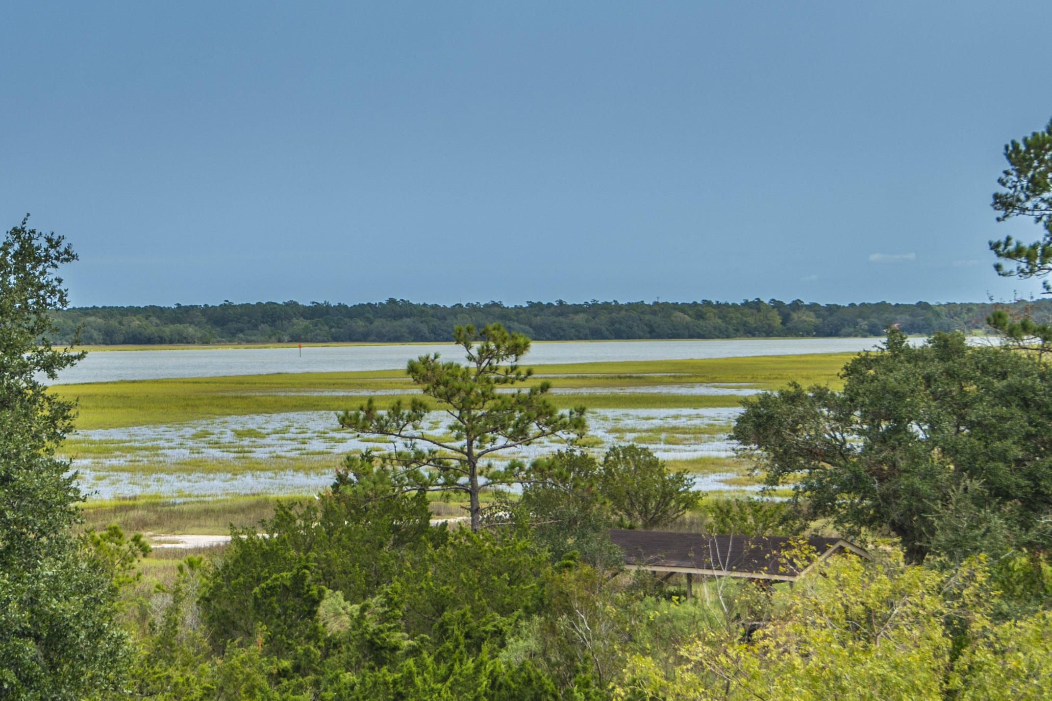 2436 Kemway Road Johns Island, SC 29455 - Photo 70 of 73 _DSC7370