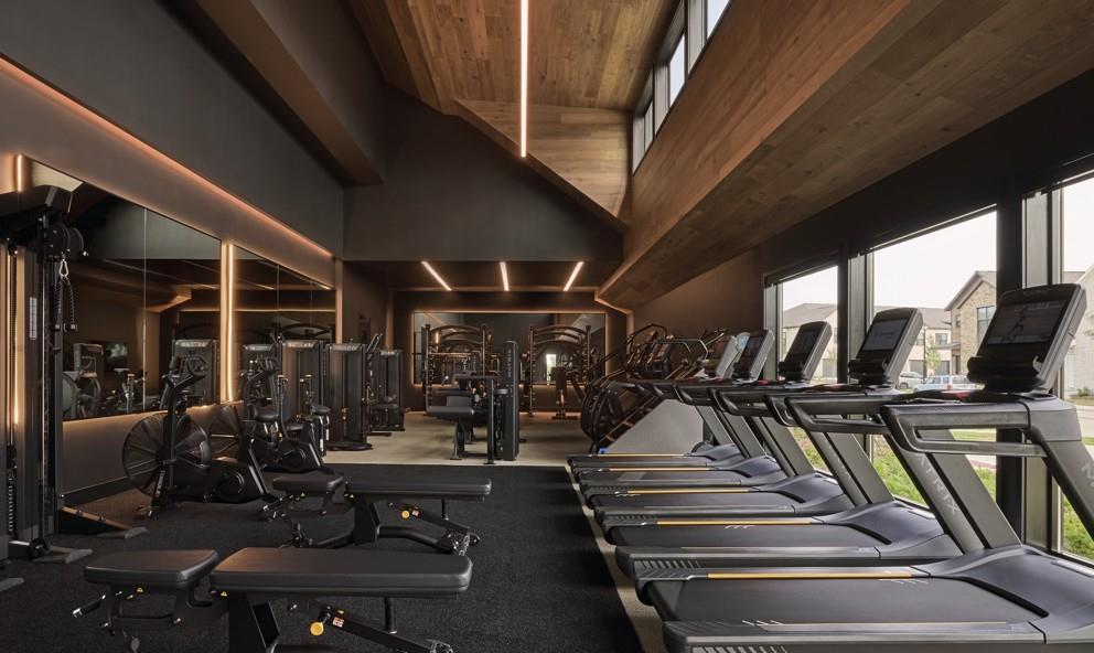 1525 Fm 982, Unit 3214 Princeton, TX 75407 - Photo 11 of 26 Gym with plenty of natural light, a towering ceiling, and wooden ceiling