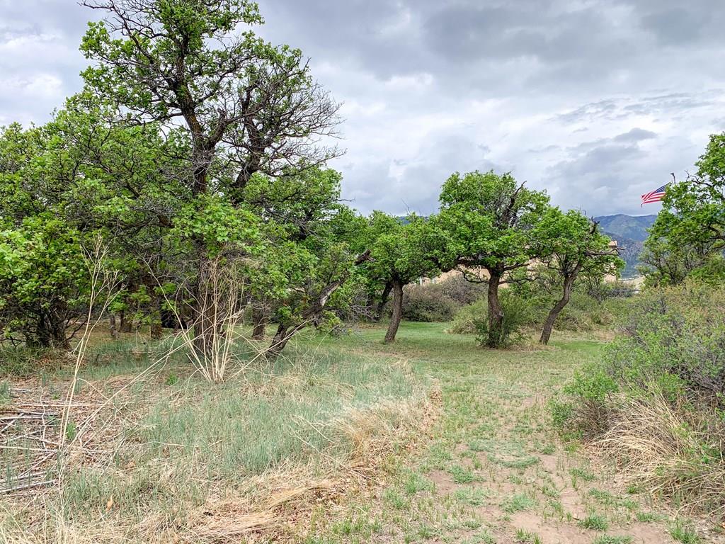 4920 County Road 650 Rye, CO 81069 - Photo 35 of 35
