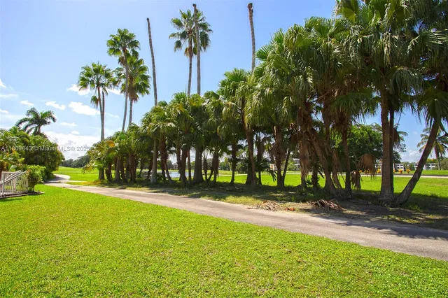 a view of a park with palm trees